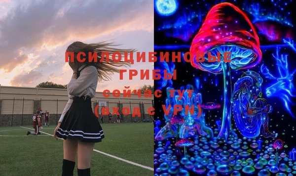 прущие крисы Елабуга