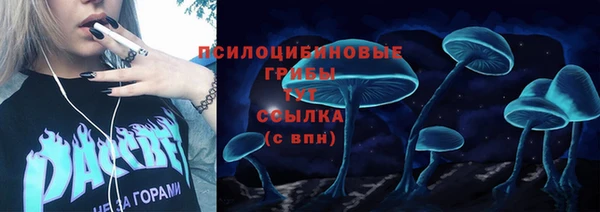стаф Абинск