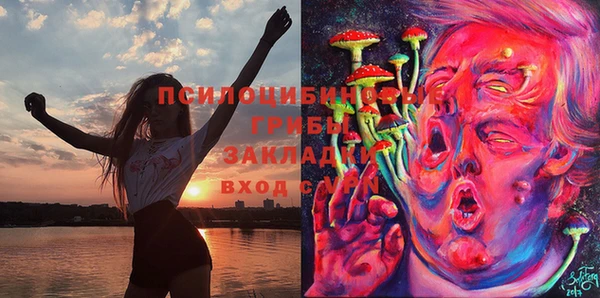 МДМА Ельня