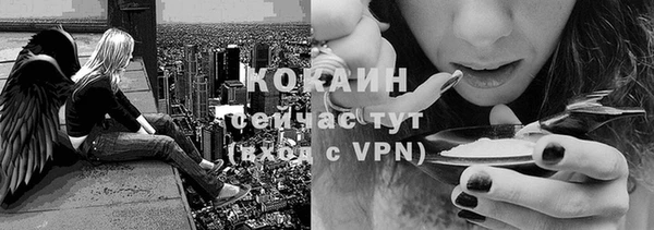 не бодяженный Няндома